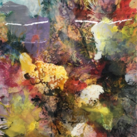Jansen06