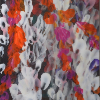 Jansen07