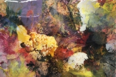 Jansen06