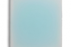 Salz07