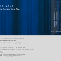 salz21-web
