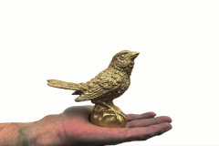Hoerl-spatz