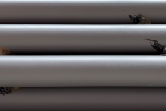 einl-schwenk-invitro