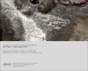 Zika-22-web
