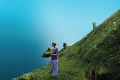 whenthemountainsdecidedto