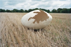 kokon_im_kornfeld-jpg