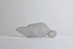 zellformation