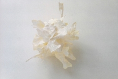schwenk01