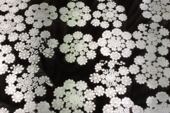 image_1