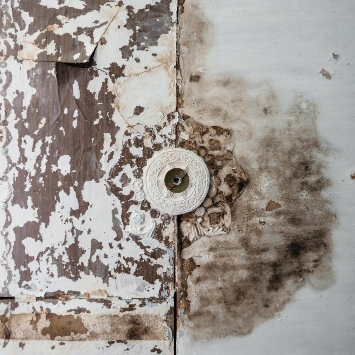 Dieter Nuhr Galerie Obrist