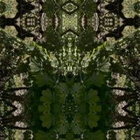 green-4
