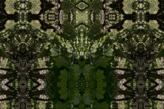 green-4
