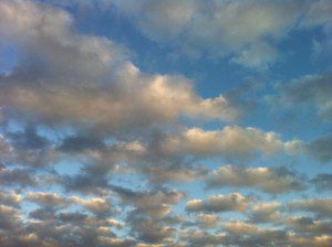 img_0730