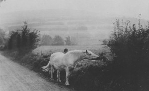 Henri Cartier-Bresson: I-R-eland