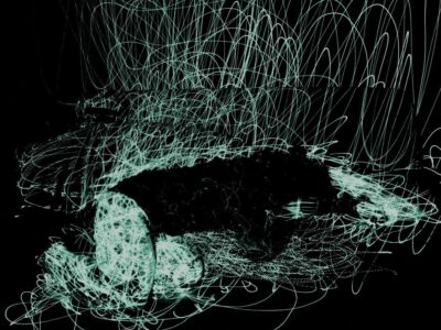 Shinichi Tsuchiya.  Fukushima