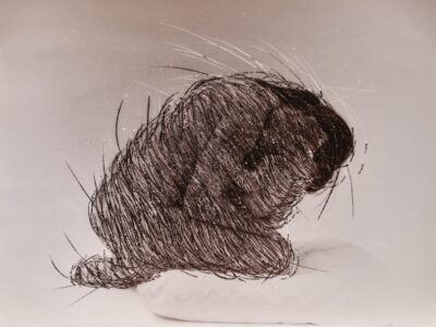 NÄHE #2 – First View