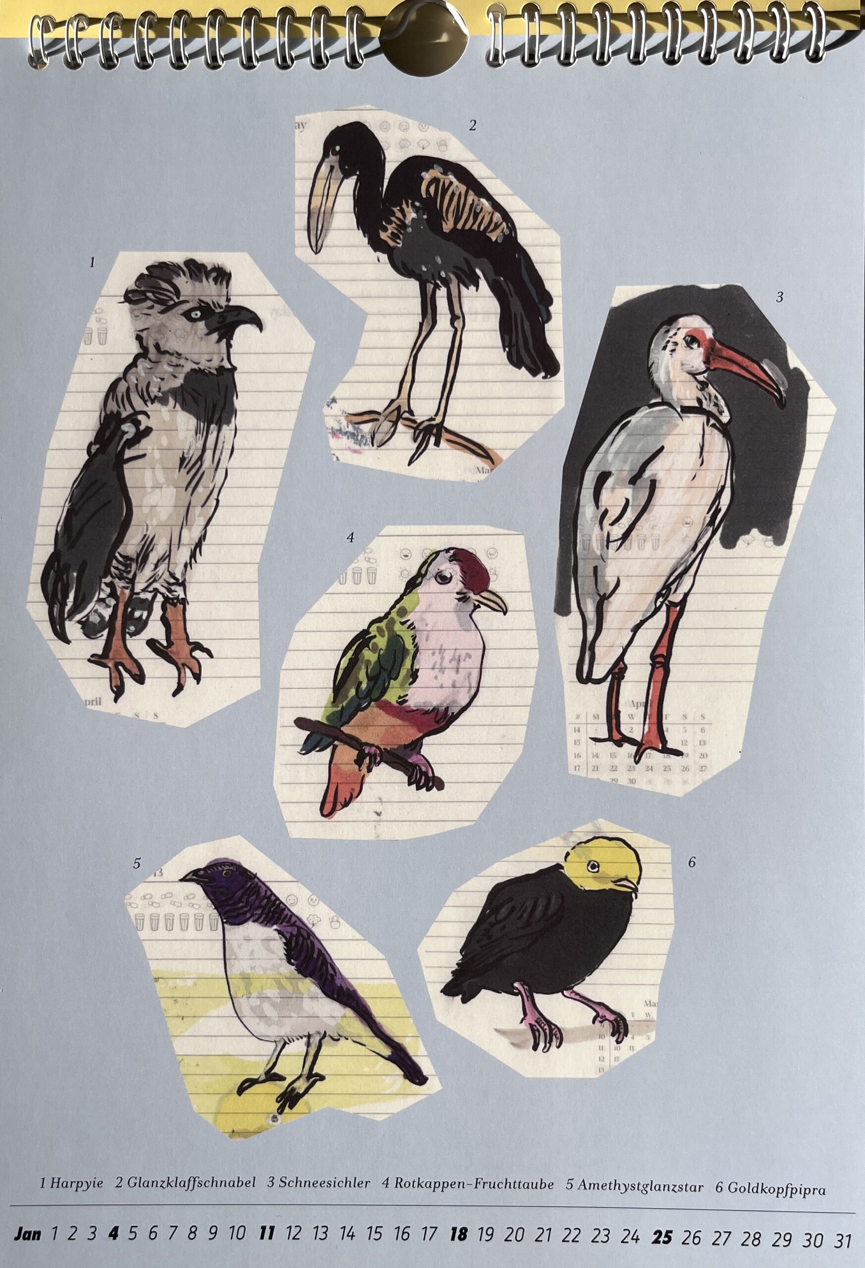 Wiebke Bartsch: Birdland 2026. Künstlerkalender. - Image 5