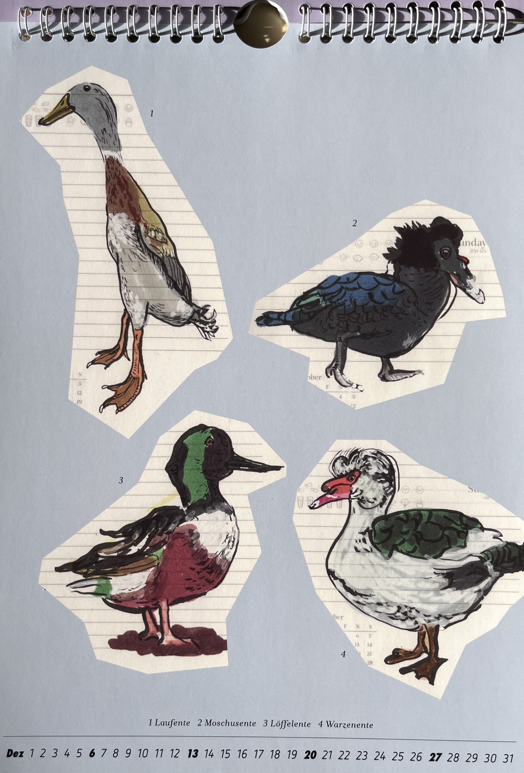 Wiebke Bartsch: Birdland 2026. Künstlerkalender. - Image 3