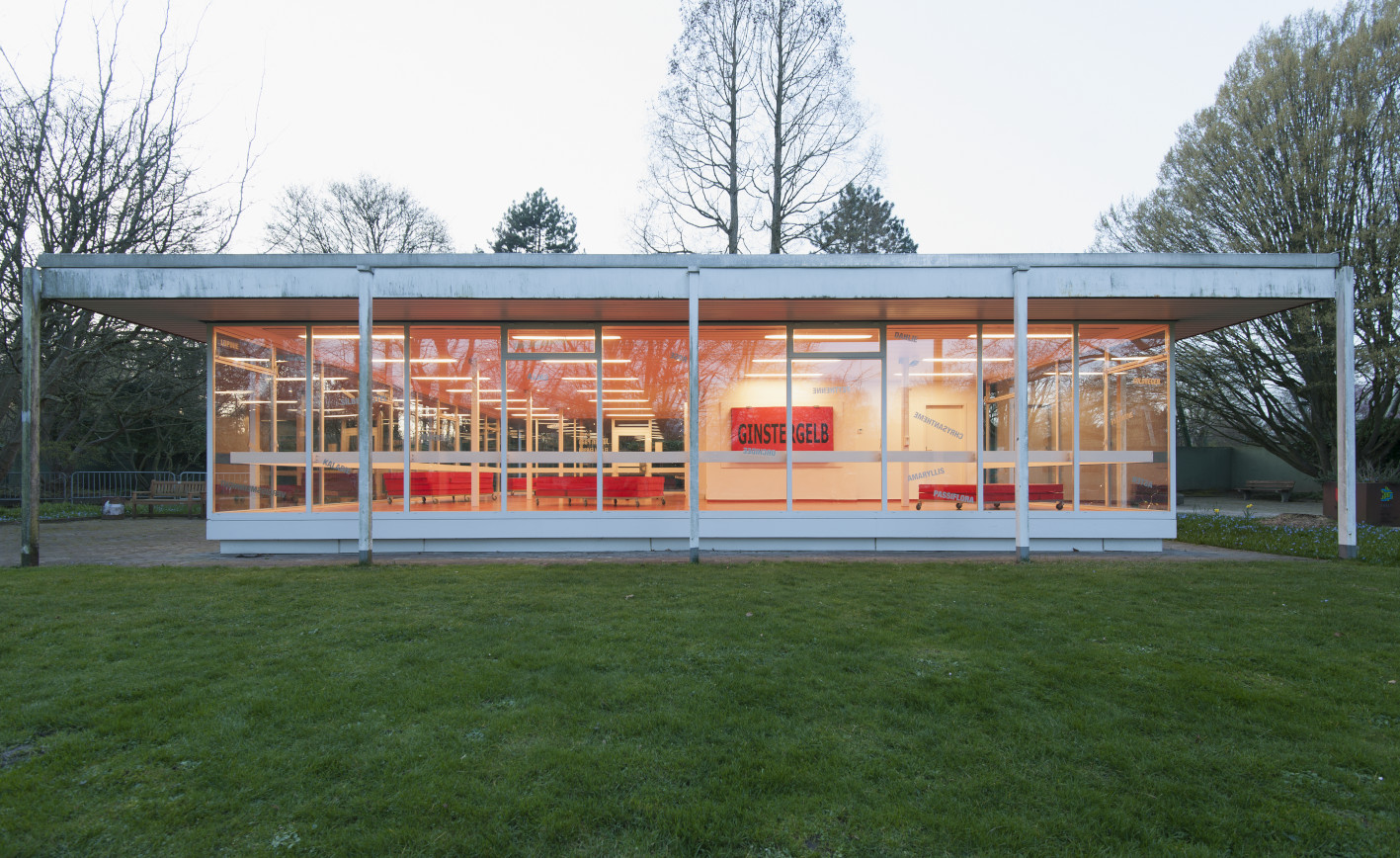 in vitro – Jürgen Paas. Floral Colours. A Herbarium.