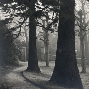 Albert Renger-Patzsch: Krupp Villa Hügel, Park
